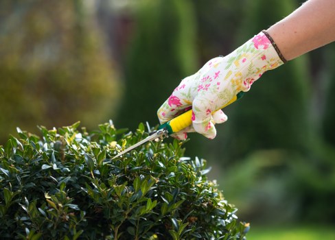 Landscaping team preparing safely for outdoor work and waste removal