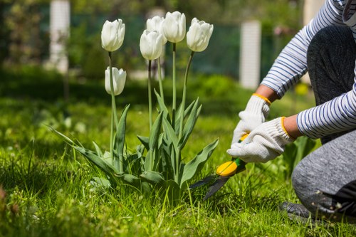 Landscapers Willesden team carrying out safe garden and waste removal work