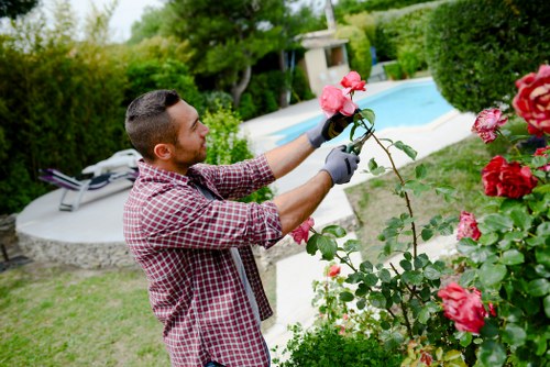 Landscaping team in Willesden showing ethical business commitment