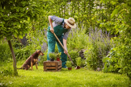 A person wearing a wide-brimmed straw hat, a blue checkered shirt, and teal overalls is gardening in a lush backyard. They are using a hand tool to tend to a small flower bed framed by wooden edging, which contains various plants including purple flowering bushes. The garden features a well-maintained green lawn in the foreground, with dense trees and shrubs creating a natural backdrop. A brown dog is sitting nearby, attentively watching the gardener. The environment appears to be a private outdoor space in Willesden, with natural light indicating a bright and mild day. The scene emphasizes outdoor maintenance and garden care, aligning with professional gardening and landscaping services offered by Landscapers Willesden.