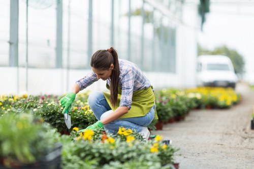 A woman wearing a plaid shirt, green gardening gloves, and blue jeans is tending to flower beds in a well-maintained garden. She is crouched down, carefully planting or weeding among vibrant yellow and purple flowers set in neatly arranged flower beds bordered by dark soil. The garden features a paved pathway made of small, light-colored stones running alongside the flower beds, with green grass and a hedge visible in the background. Behind her, there is a greenhouse structure with large glass panels, reflecting the natural light, and a white vehicle parked further in the background. The scene takes place outdoors on a partly cloudy day, with soft natural light illuminating the garden, highlighting the natural tones of the greenery, flowers, and paving. This setting exemplifies professional gardening and landscaping maintenance, aligning with services offered by companies like Landscapers Willesden, and reflects a tidy, welcoming outdoor space in the local area near Willesden.