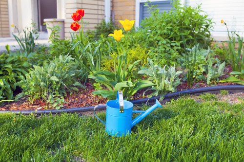 The image shows a well-maintained front garden with a lush, green lawn in the foreground, featuring dense grass with a uniform texture. In the middle section, there is a flower bed edged with dark border material, containing a variety of plants, including bright red and yellow tulips, along with leafy green shrubs. Behind the flower bed, taller greenery and foliage create a layered garden effect, with some small trees or larger shrubs visible. A light blue watering can with a spout and handle is placed on the grass in the foreground, indicating active garden maintenance. The garden appears to be situated near a residential property, evidenced by the visible part of a building with a white exterior wall and a window. Overall, the scene suggests a tidy, landscaped outdoor space that could benefit from professional gardening services, such as lawn care, planting, or garden renovation in the Willesden area.