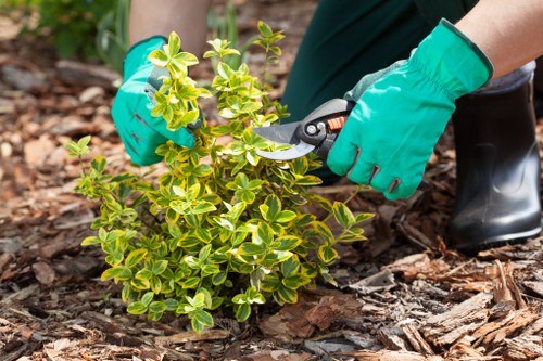 Customer raising a complaint about landscaping work