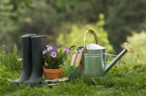Essential lawn mowing tools and equipment