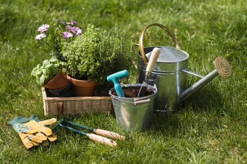 Tools for garden maintenance laid out neatly