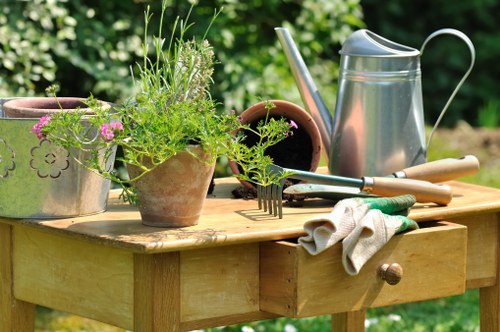 Homeowner enjoying a clean and organized garden post-clearance.