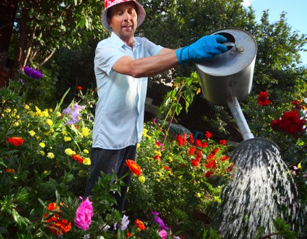 A man in a wide-brimmed hat and blue gloves is watering a lush garden filled with a variety of colorful flowering plants, including reds, yellows, purples, and pinks, using a silver watering can. The garden features a dense border of vibrant flowers and greenery, with a mix of taller shrubs and smaller flowering plants arranged along the edge of a well-maintained lawn. In the background, there are trees and natural greenery, suggesting a private outdoor space or landscaped yard. The scene is outdoors under clear weather, with bright natural sunlight highlighting the rich colors and textures of the plants and garden features, typical of well-kept domestic gardens in the Willesden area. This image represents professional gardening and outdoor maintenance services offered by landscapers such as Landscapers Willesden, emphasizing careful watering and garden care.