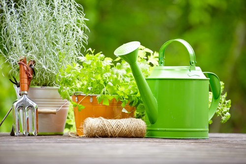 Enhancing property value with Willesden landscaping