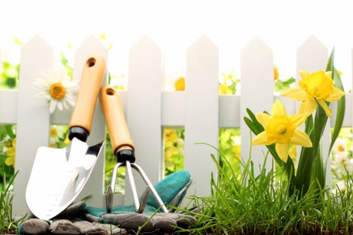Seasonal garden clearance preparing garden for spring in Willesden.
