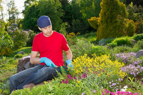 A man wearing a red t-shirt, blue gloves, and a navy polka-dotted cap is tending to a vibrant garden in an outdoor setting. The garden features a variety of flowering plants with colors including yellow, purple, and pink, arranged in defined flower beds bordered by lush green foliage. Behind him, there are mature trees and shrubs adding height and structure to the landscaped space, with some taller coniferous trees and dense hedges. The grass lawn in the foreground is well-maintained and appears dense and healthy. The background shows a natural environment with tall trees and a clear sky, suggesting a bright, sunny day. This scene reflects typical gardening and landscaping activities that a professional team like Landscapers Willesden provides, focusing on garden maintenance and planting in the Willesden area, which is in northwest London near NW10 postcode. The garden’s organized layout and healthy plants demonstrate attentive outdoor care suitable for a variety of garden renovation projects in the local area.