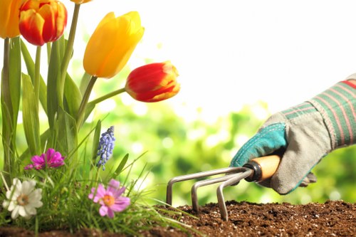 Sustainable landscaping practices by Willesden Landscapers