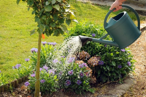 A gardener watering a garden bed in a well-maintained outdoor space, with a green watering can held by a hand visible in the upper right corner. The garden features a variety of plants, including purple and white flowering perennials, bushy green shrubs, and a young tree supported by a wooden stake. The soil in the bed appears healthy and moist, bordered by small wood edging. In the background, a lush green lawn extends, and a leafy hedge or shrub provides a natural backdrop, suggesting a neatly landscaped garden. The scene is lit by natural daylight, indicating clear weather, and reflects a typical suburban outdoor environment associated with professional gardening services in the Willesden area of London, Kentish Town, or NW10 postcode, as part of lawn and garden maintenance offered by Landscapers Willesden.