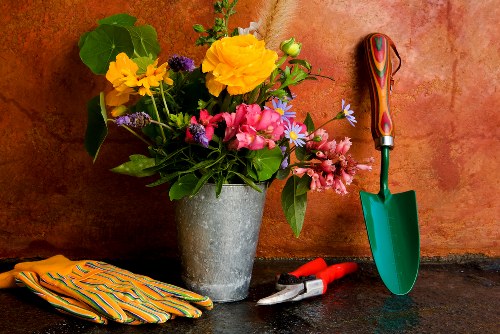 A close-up image of a garden work area featuring a metal bucket filled with a vibrant mixture of yellow, pink, purple, and white flowers, with green foliage, placed on a dark outdoor surface. Nearby, a pair of red-handled pruning shears and a small hand trowel with a green handle are resting on the surface, alongside a pair of well-used yellow gardening gloves with striped cuffs. The background consists of a warm-toned, textured wall, suggesting a garden boundary or patio area. The scene emphasizes tools and floral arrangements associated with gardening activities, with natural light illuminating the scene, providing a clear view of the textures and colours typical of outdoor garden maintenance in the UK context, such as in Willesden.