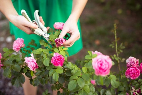 Professional landscapers working on garden design