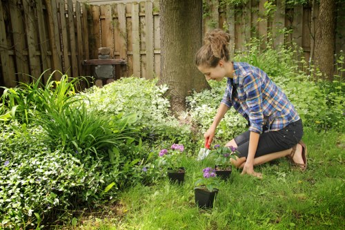 In a well-maintained backyard garden, a young woman with brown hair tied back is kneeling on the grass, engaged in planting or tending to small flowering plants housed in black pots. Surrounding her are lush green plants, including leafy shrubs and ornamental grasses, with some flowering plants displaying purple blooms. The garden features a variety of textures, from the soft, dense grass in the foreground to the taller plants near a mature tree trunk. Behind her, a weathered wooden fence encloses the space, with dense foliage providing privacy and a natural backdrop. A vintage-style metal garden ornament or birdbath is visible in the background, alongside a small barbecue grill positioned near the fence. The environment appears vibrant and healthy, with natural daylight suggesting a bright, clear day. The scene demonstrates typical outdoor gardening activities within a suburban garden setting, aligning with the services offered by Landscapers Willesden for horticultural and landscaping improvements in the local area, including Willesden and NW10 postal code regions.