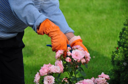 A person wearing a grey long-sleeved top and bright orange gardening gloves is pruning or tending to a cluster of pink roses in a well-maintained garden. The garden features a lush green lawn in the foreground, with a neatly manicured hedge on the right side, and a few small bushes or shrubs. In the background, there are mature trees with broad leaves, suggesting a landscaped outdoor space typical of residential properties in Willesden. The overall scene appears to be on a clear day with natural daylight illuminating the area, emphasizing the vibrant colours of the flowers and greenery. This outdoor garden setting, with its carefully arranged plants and well-kept lawn, reflects professional gardening and landscaping practices likely supported by local services such as Landscapers Willesden, focusing on garden maintenance and plant care in the NW10 postcode area.