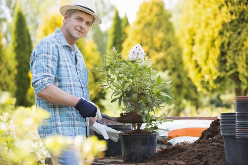A man wearing a light grey hat, checked blue shirt, and gardening gloves is working in a garden, planting a small flowering shrub in a black plastic pot. The garden features a neatly maintained lawn in the foreground, with a large flower bed bordered by soil and mulch behind him. To the right, there are several stacked black plant pots and gardening tools, indicating ongoing planting activities. The background showcases tall, lush green trees illuminated by natural sunlight, suggesting a clear day in a suburban outdoor space. The scene reflects typical gardening work in an outdoor garden area, with well-maintained grass, organized plant containers, and a natural setting likely associated with professional gardening services such as those offered by Landscapers Willesden, serving areas like NW10 in Willesden, London.