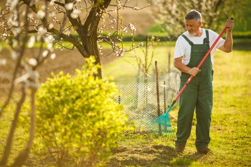 A middle-aged man wearing a white t-shirt and green overalls is raking soil or grass in a well-maintained garden. The garden features a variety of elements, including a lush, green lawn in the foreground, edged by a small flowering tree with white blossoms on the left side of the image. Behind the man, a low wire fence separates the lawn from a flower bed with yellow-green shrubbery. In the background, there are several mature trees with budding leaves, and soft sunlight filters through the branches, casting warm natural light across the scene. The overall outdoor space appears tidy and cultivated, with a focus on outdoor maintenance and gardening. This setting is typical of residential gardens in Willesden, highlighting the local environment and landscape features that landscapers such as Landscapers Willesden might service, providing a natural, inviting aesthetic for outdoor enhancement.