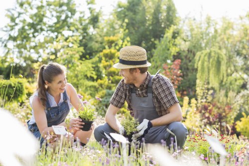 Variety of native plants suitable for Willesden gardens